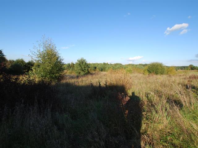 Działka sprzedam, Zbrza, Morawica, 1011 m2, cena: 111 210 zł