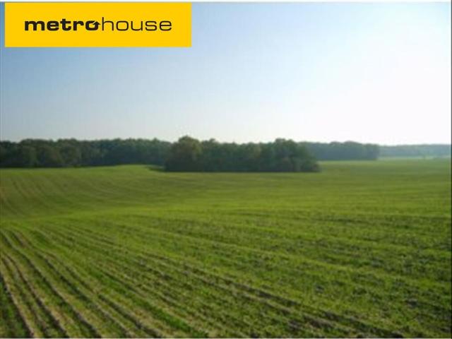 Działka, Trzcielin, 121250.00 m², sprzedam działkę