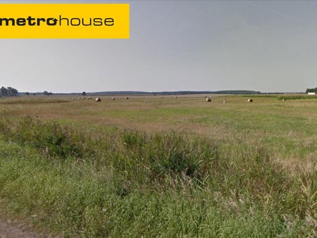 Działka, Trzcielin, 31000.00 m², sprzedam działkę