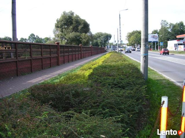 Działka usługowa, inwestycyjna w Milanówku k/W wy blisko A2