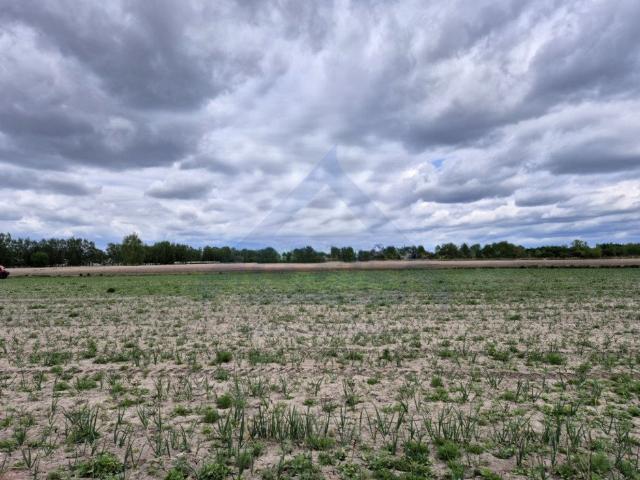 Działka usługowa 2250 m² z MPZP i potencjałem inwestycyjnym