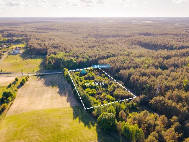 Działka usługowa 3000 m² z dużym potencjałem inwestycyjnym