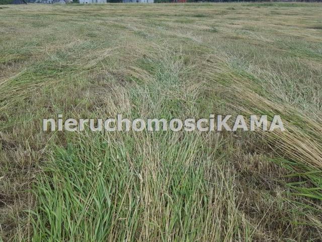 Działka wynajmę, Bielsko Biała, Bielsko Biała, 20323 m2, cena: 20 323 zł