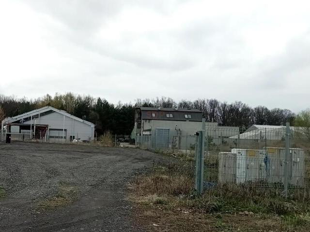 Działka wynajmę, Długołęka, 1200 m2, cena: 4 800 zł