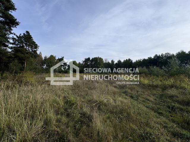 Działka wynajmę, Gdynia, Wiczlino, 1440 m2, cena: 1 200 zł