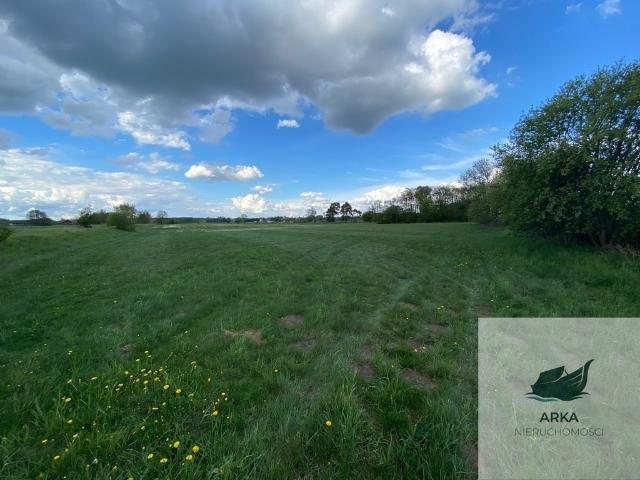 Działka w Żarowie 1576 m² z drogą asfaltową i prądem