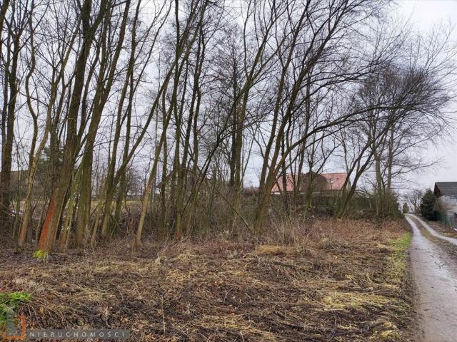 Działka w Bibicach z możliwością rozbudowy i rekreacji