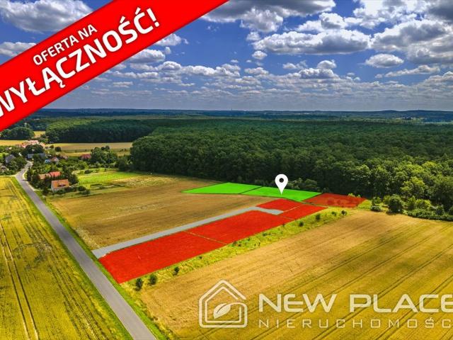 Na sprzedaż działka 1005 m² w Kobylnikach z lasem i uzbrojeniem