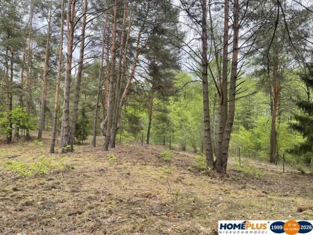 Działka w lesie 2064 m² letniskowa i całoroczna