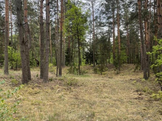 Działka w lesie 2064 m² letniskowa i całoroczna