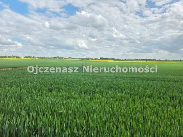 Działka w Sicienku z warunkami zabudowy, 2278 m²