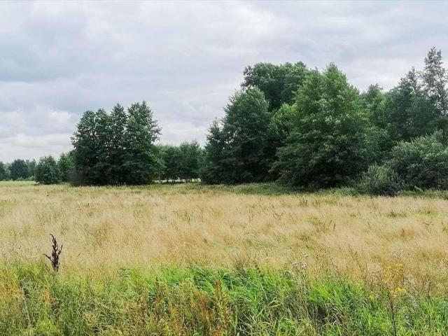 Działka w Płozy z mediami, lasy i łąki, 1083 m²