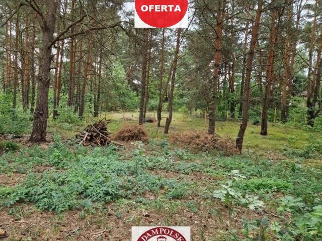 Działka w Wesołej 1194 m2 z warunkami zabudowy