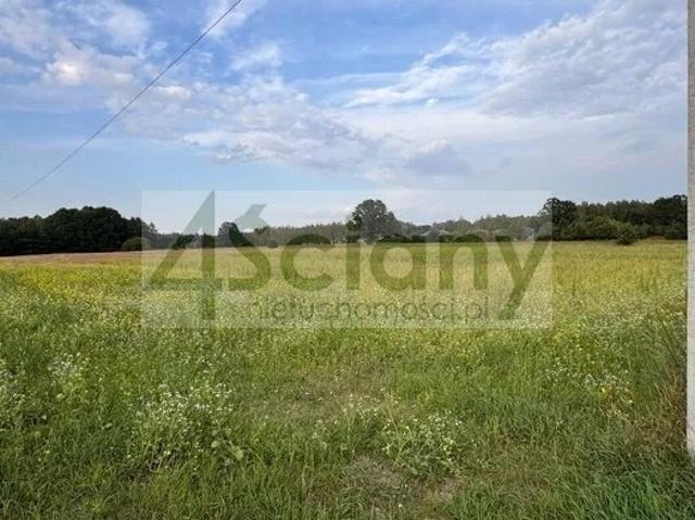 Działka, Wężyk, 3000.00 m², sprzedam działkę