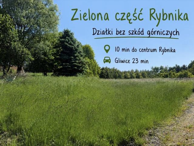 Działka w zielonej okolicy, blisko jeziora i lasu