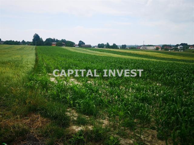 Działka, Wieprz, 800.00 m², sprzedam działkę