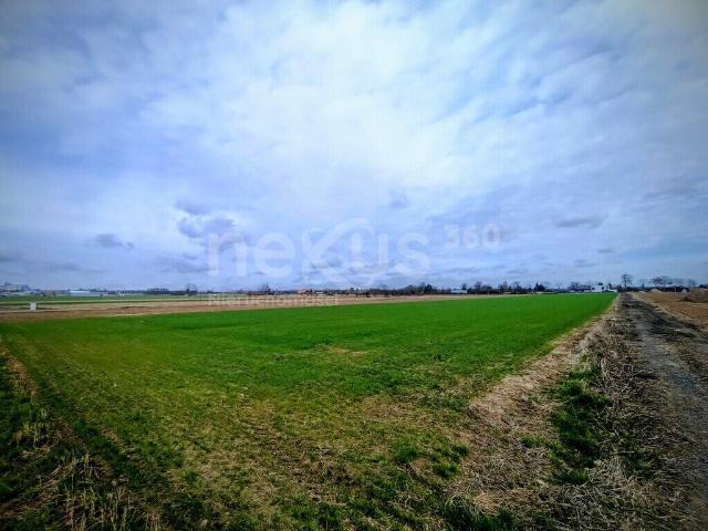 Działka, Świerzna, 976.56 m², sprzedam działkę