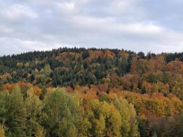 Działka Wojakowa bez pośredników – 68 arów rolno inwest