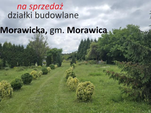 Działka, Wola Morawicka, Miła, 625.00 m², sprzedam działkę
