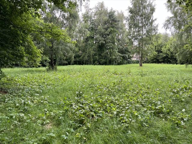 Działka z jeziorem i pozwoleniem na budowę, 58 417 m²