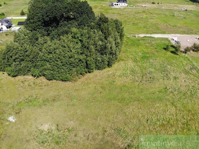 Działka z lasem 5874 m2 w Kliniskach Wielkich