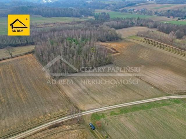 Działka z lasem i domem w Zawadzie – 9667 m², media, teren rekreacyjny