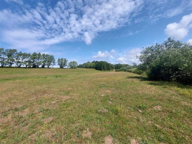 Działka z linią brzegową rzeki Wieprzy, 25 554 m²