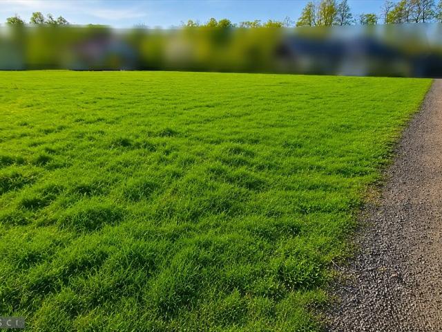 Działka z pozwoleniem na nowoczesny dom w Zielonkach