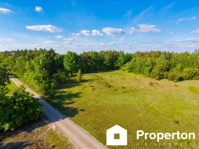 Działka z prywatnym lasem, 10 849 m², cisza i prywatność