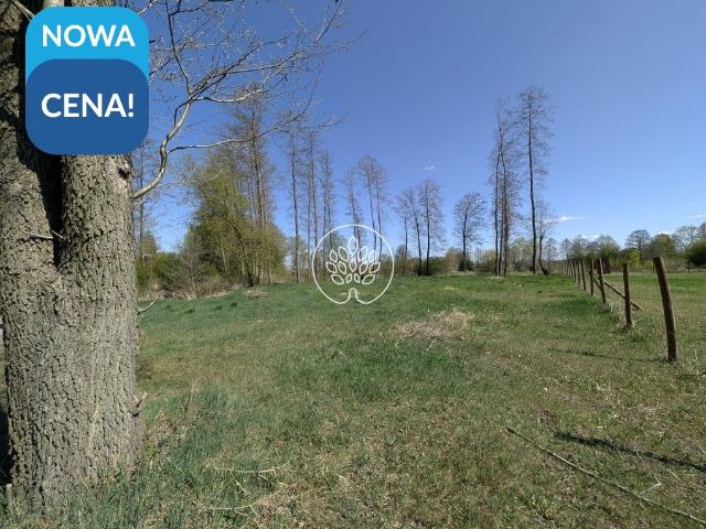 Działka z projektem i pozwoleniem na budowę w Otorowie