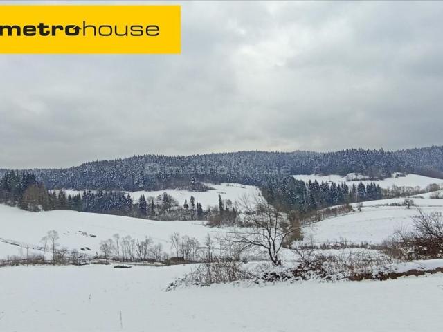 Działka, Zawóz, 11300.00 m², sprzedam działkę