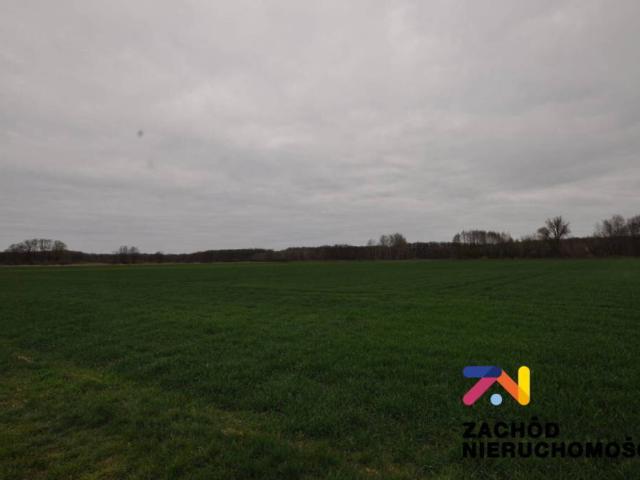 Działka, Zielona Góra Zawada, 20600.00 m², sprzedam działkę