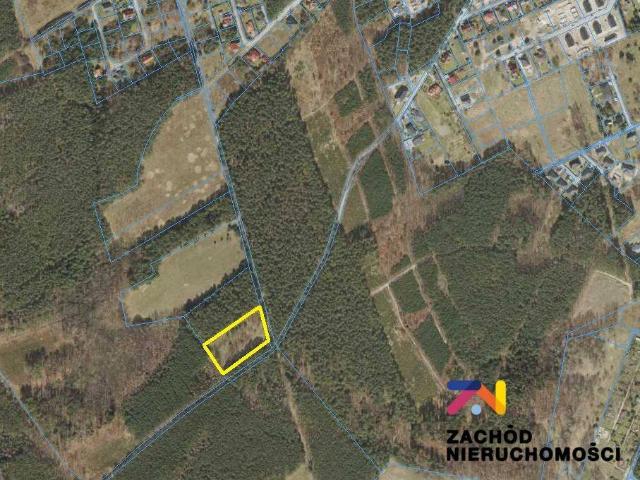 Działka, Zielona Góra Drzonków, 7200.00 m², sprzedam działkę