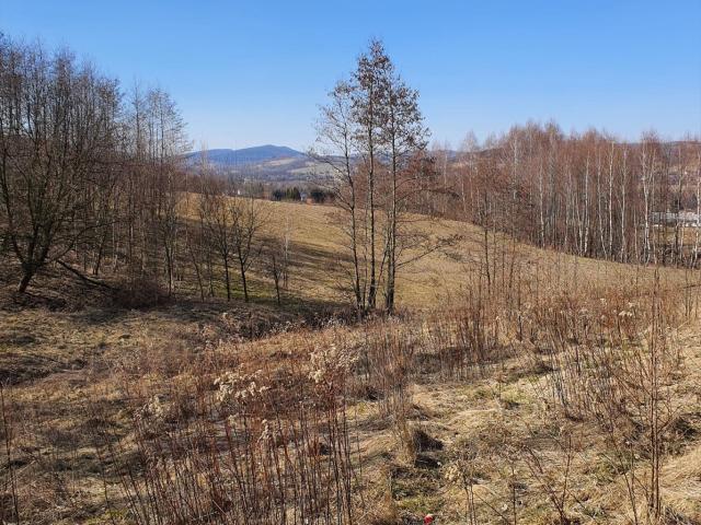 Działka 0,5 ha pod rekreację z widokiem na okolicę