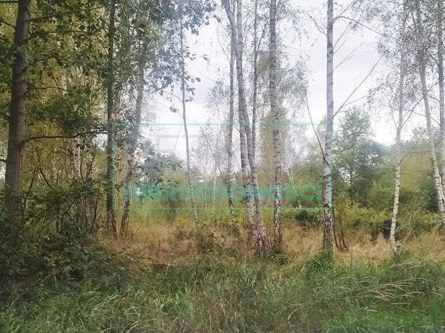 Działka 1400 m² w Adamowiźnie z mediami i planem
