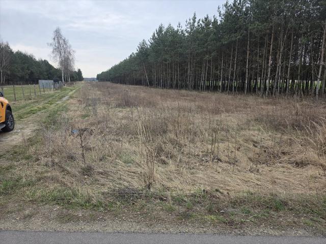 Działka 1400 m² z WZ, droga asfaltowa, las, Radom