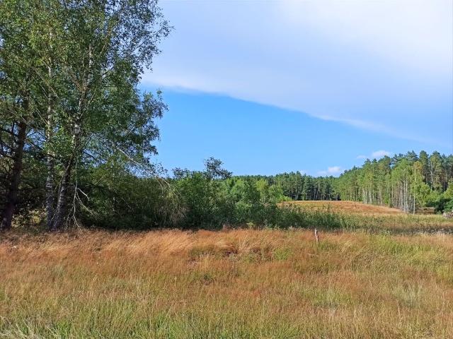 Działka 1400 m² przy lesie Wiewiórowo z WZ i mediami