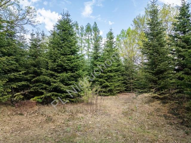 Działka 1400 m² w Milanówku z mediami i dostępem do drogi