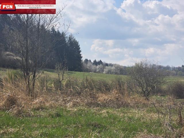 Działka 1456 m² z widokiem na las i strumyk, inwestycja