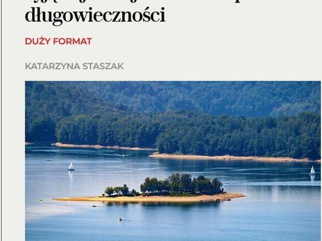 Działka 14655 m2 w sercu Bieszczad, piękne widoki