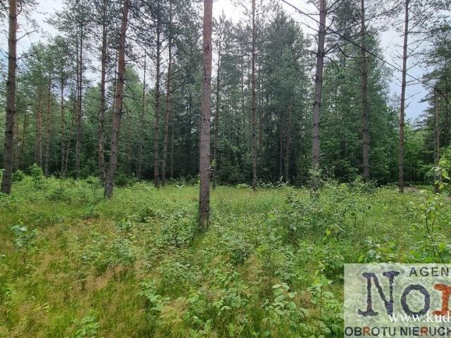 Działka 1484 m² pod zabudowę i usługi w Gorczycy zapraszam