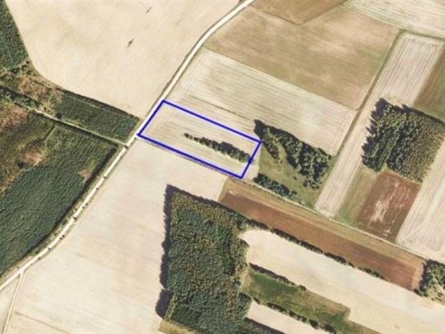 Działka 14 000 m², Szudziałowo