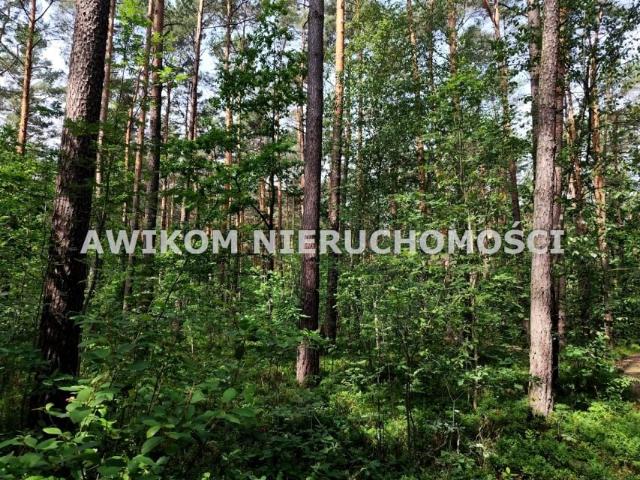 Działka 14 000 m², Skierniewice