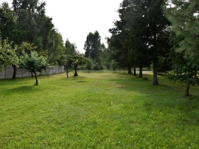 Działka 14 100 m², Rumianka
