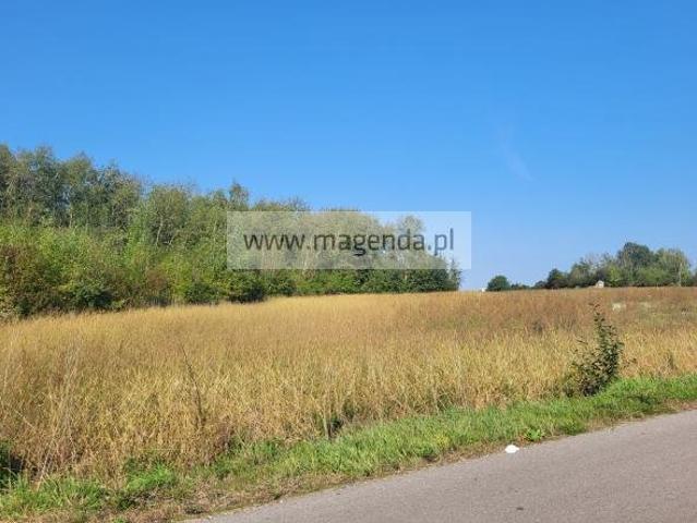 Działka 14 399 m² z potencjałem inwestycyjnym