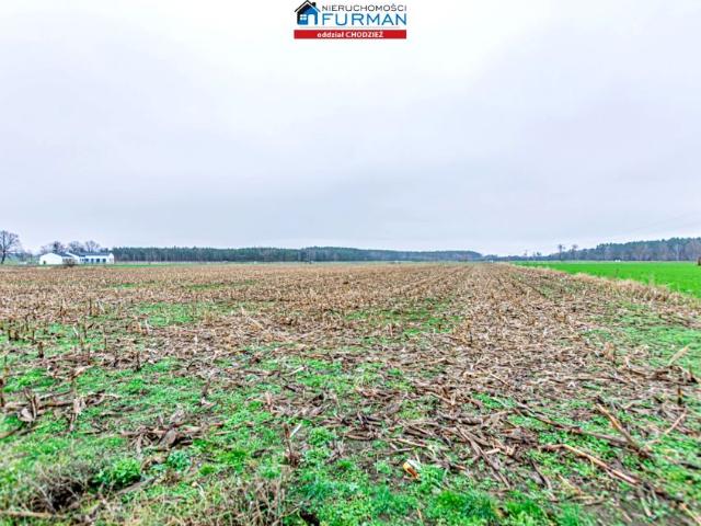 Działka 11 468 m², Boruchowo
