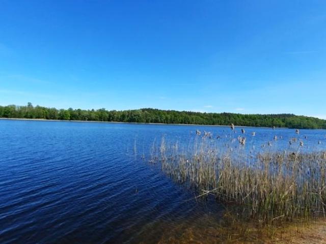 Działka 14 400 m², Pluszkiejmy