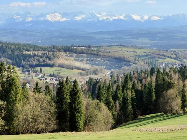 Działka 14 650 m², Obidowa