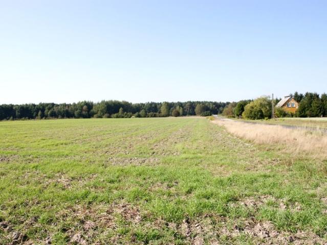 Działka 14 600 m², Krasne