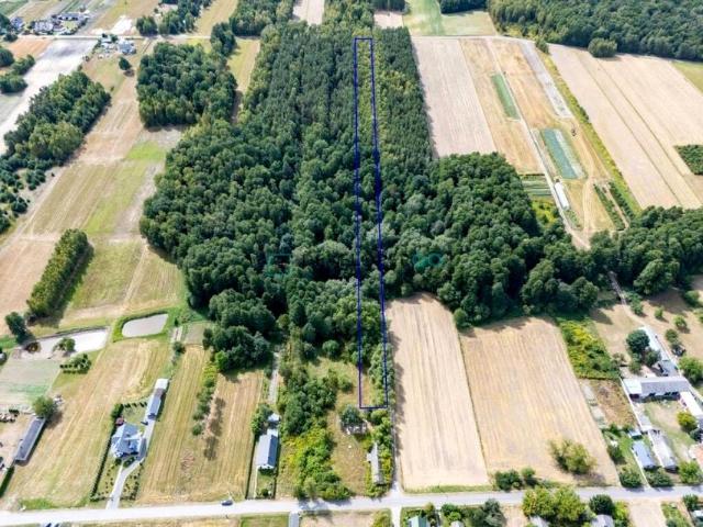 Działka 14 800 m², Kochanów